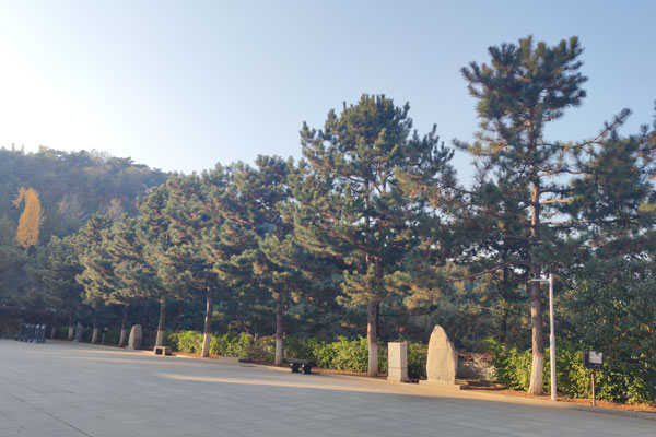北京墓园的功能分区，和谐共生